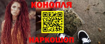прущие грибы Гатчина