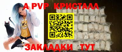 прущие грибы Гатчина