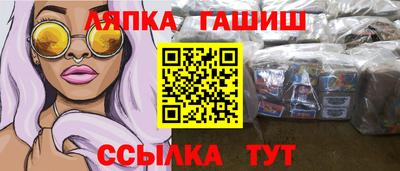 прущие грибы Гатчина