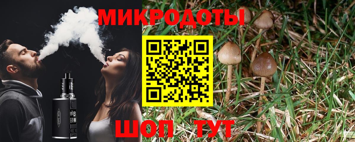 Галлюциногенные грибы прущие грибы Мичуринск