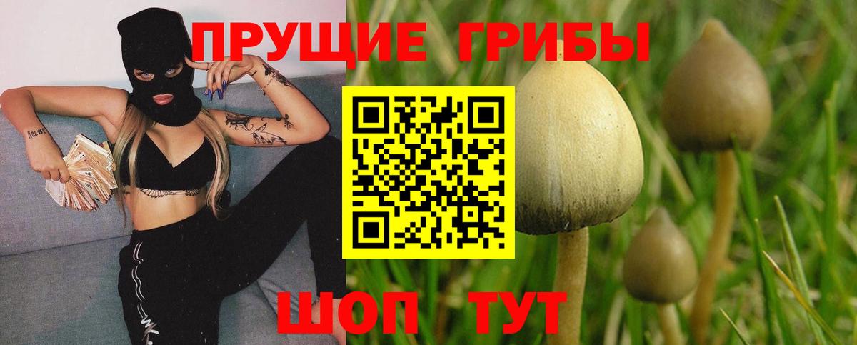 хочу наркоту  Вход с VPN  Мичуринск  Галлюциногенные грибы MAGIC MUSHROOMS 